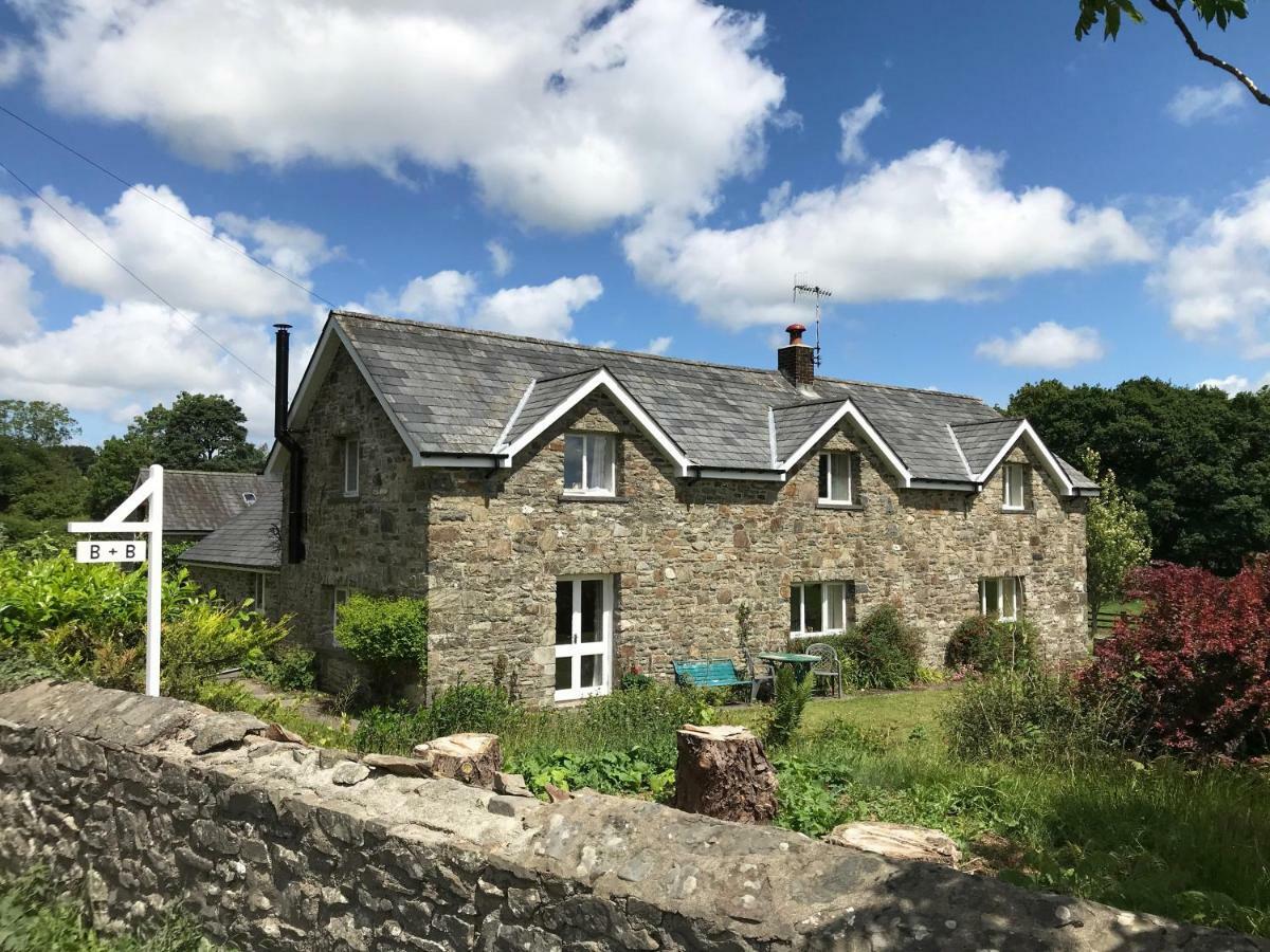 Maesyfelin Isaf B&B Llanybyther Exterior foto